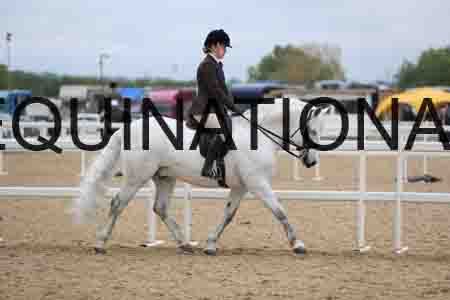 MAN-1937