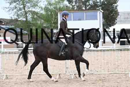 PAT-1685