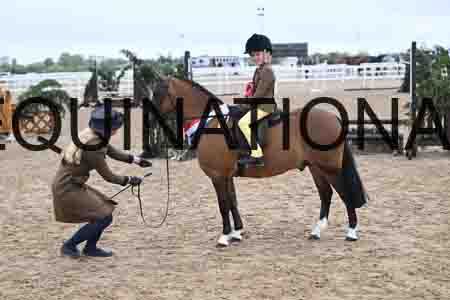 1_PAT-1037
