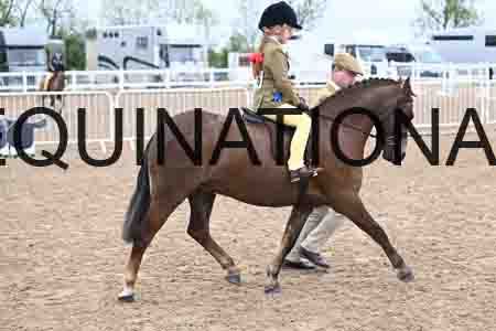 PAT-1038