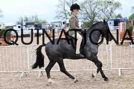 PAT-1433