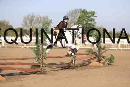 CRK-1063