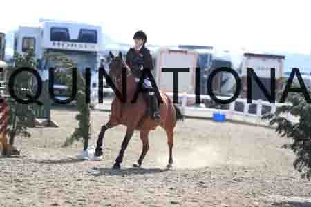 CRK-1518