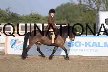 LOT-1008