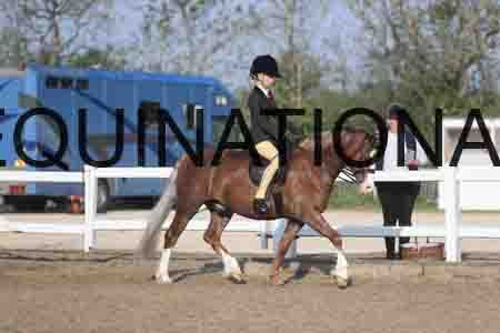 LOT-1015