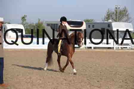 LOT-1031