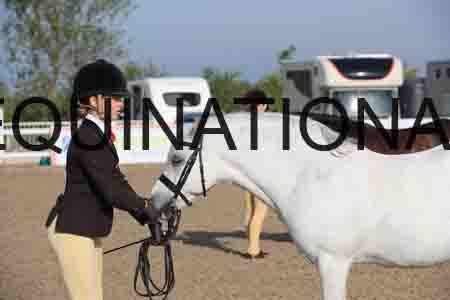 LOT-1038