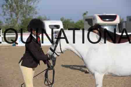 LOT-1039