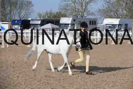 LOT-1041