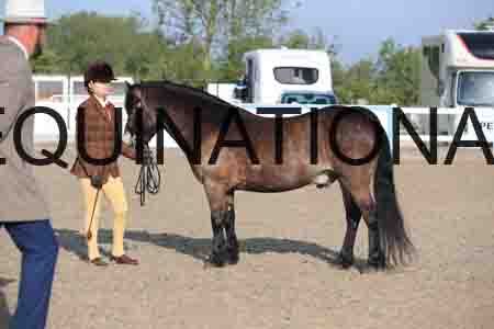 LOT-1046