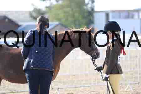 LOT-1053