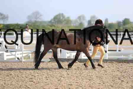 LOT-1054