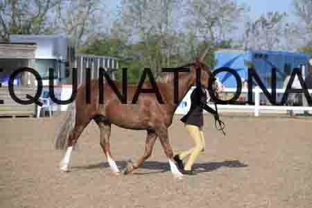 LOT-1058