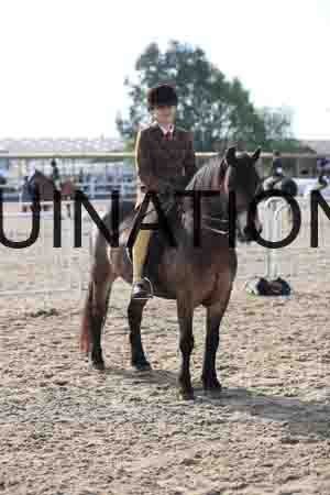 LOT-1076