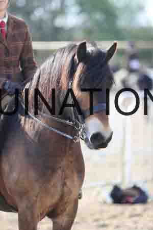 LOT-1078
