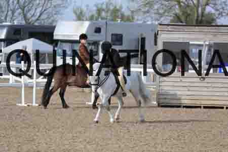 LOT-1116