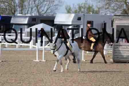 LOT-1117