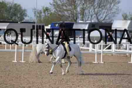 LOT-1118