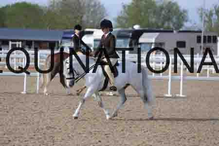 LOT-1119