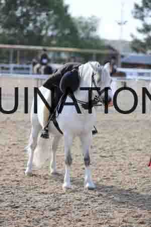 LOT-1124