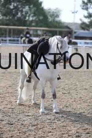 LOT-1125