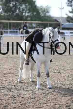 LOT-1128