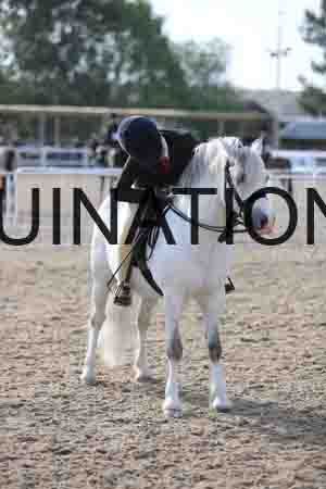 LOT-1129