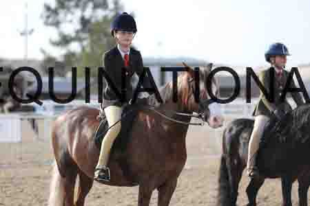 LOT-1134