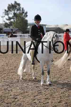 LOT-1137