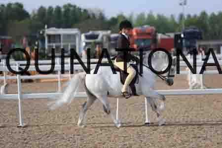 LOT-1147