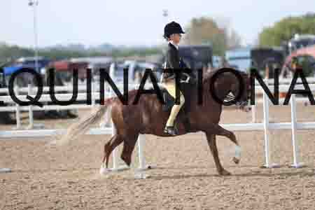 LOT-1148