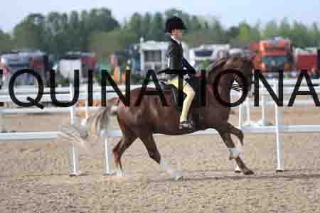 LOT-1149