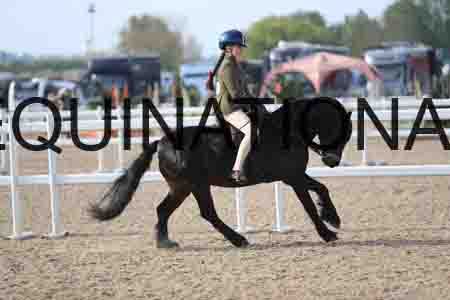 LOT-1151