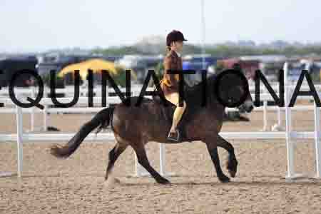 LOT-1152