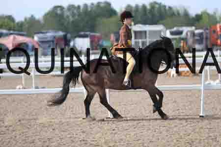 LOT-1154