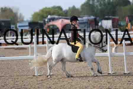LOT-1156