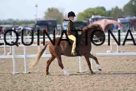 LOT-1157