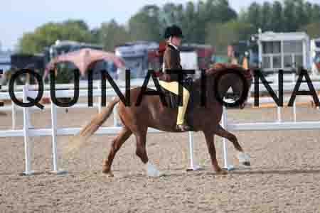 LOT-1158