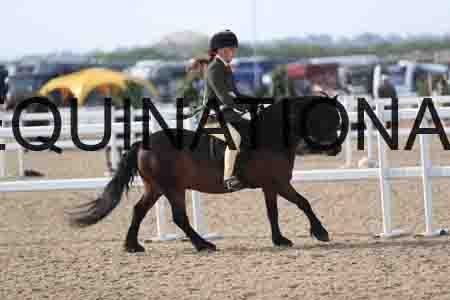 LOT-1159