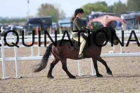 LOT-1160