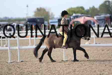 LOT-1161