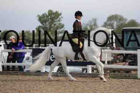 LOT-1164