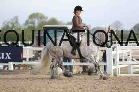 LOT-1166