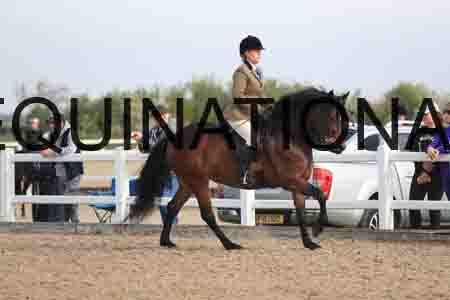 LOT-1168