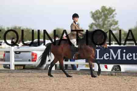 LOT-1169