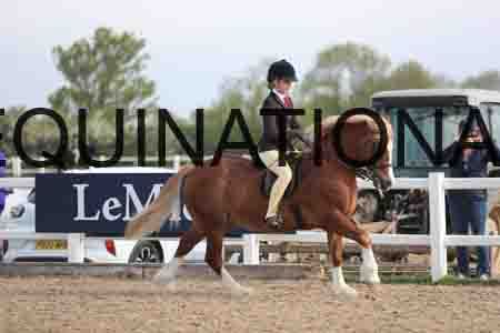 LOT-1170