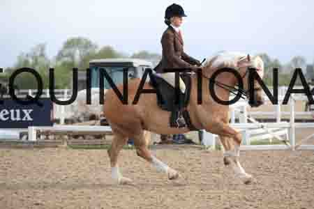 LOT-1171