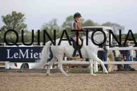 LOT-1172