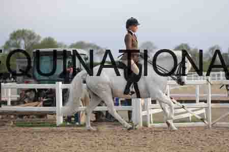 LOT-1173