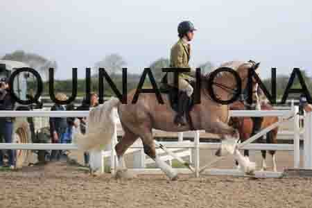 LOT-1176